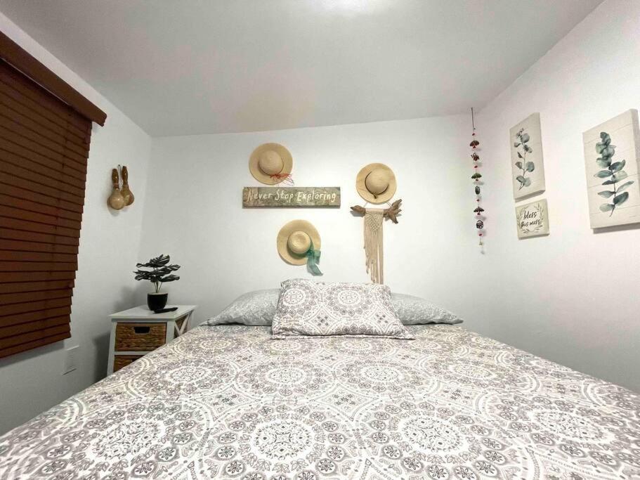 Independent Studio In Little Havana Майами Экстерьер фото